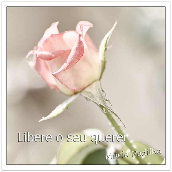 libere-o-seu-querer